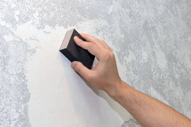 Best Attic Mold Removal  in Portage Lakes, OH
