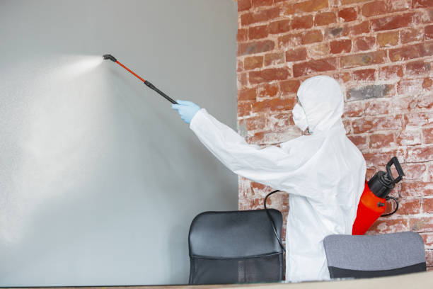  Portage Lakes, OH Mold Removal Pros