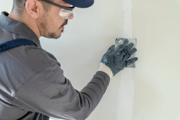 Reliable Portage Lakes, OH Mold Removal Solutions