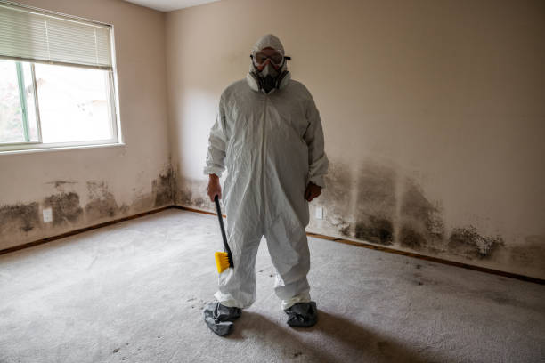 Best Mold Damage Restoration  in Portage Lakes, OH